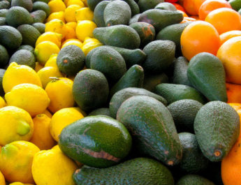Frutas Con Más Proteínas Que Hidratos
