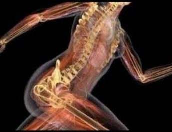 7 datos curiosos sobre el cuerpo humano y la salud