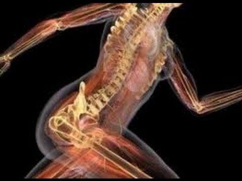 7 datos curiosos sobre el cuerpo humano y la salud