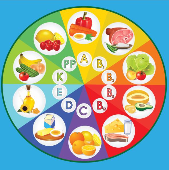 Definición y clasificación de las vitaminas