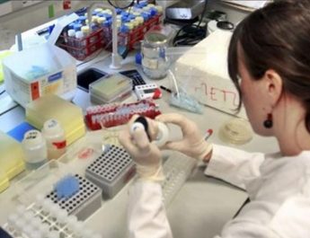 hematíes normales en al sangre