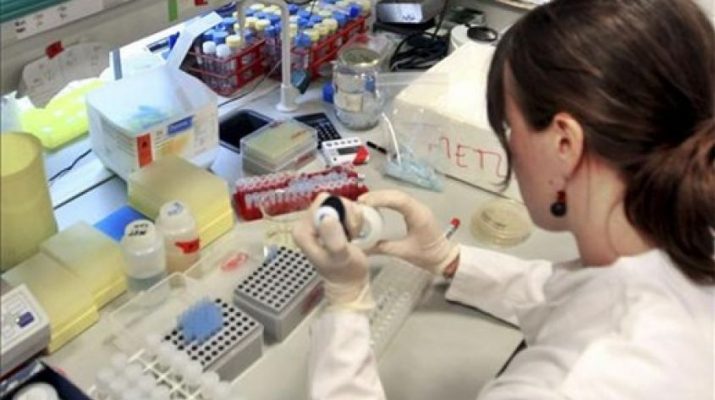 hematíes normales en al sangre