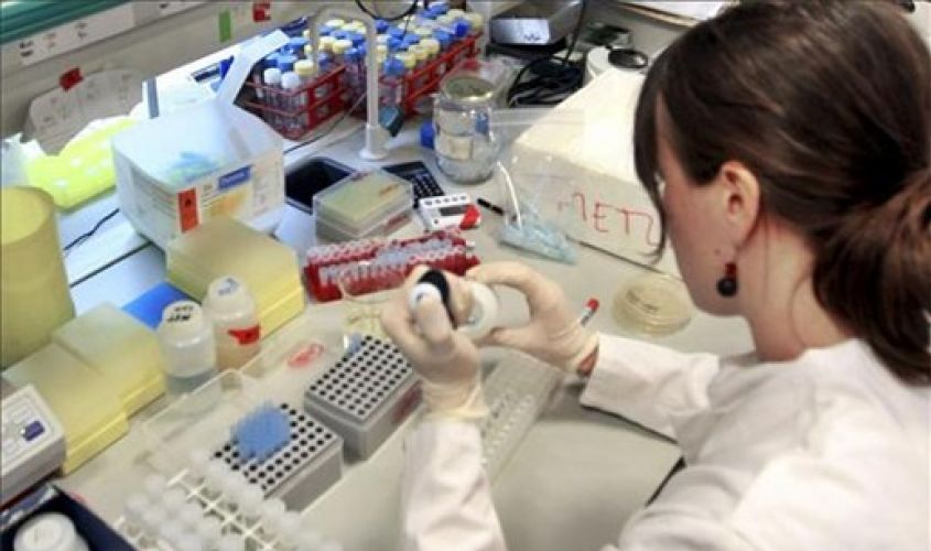 hematíes normales en al sangre